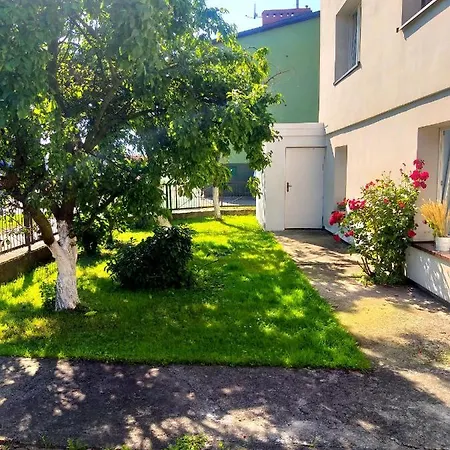 Goscinne Irena * וובה