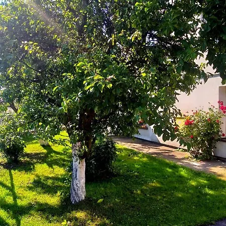 Goscinne Irena Homestay Leba