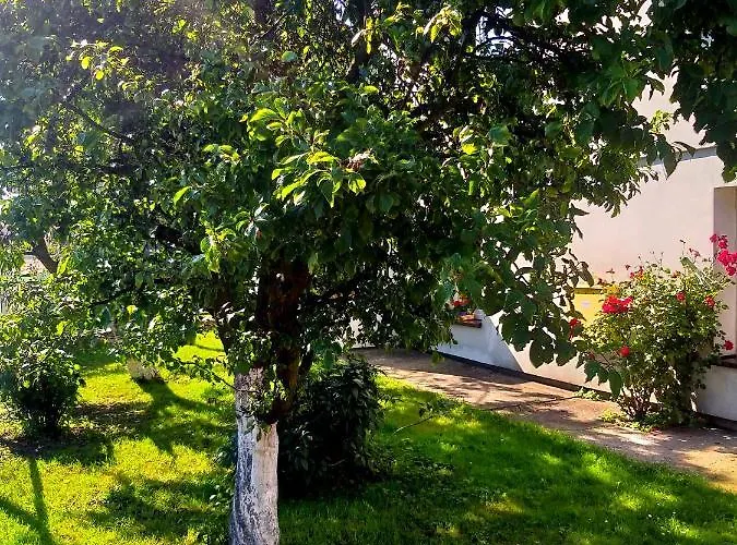 Goscinne Irena 民宿 莱鲍